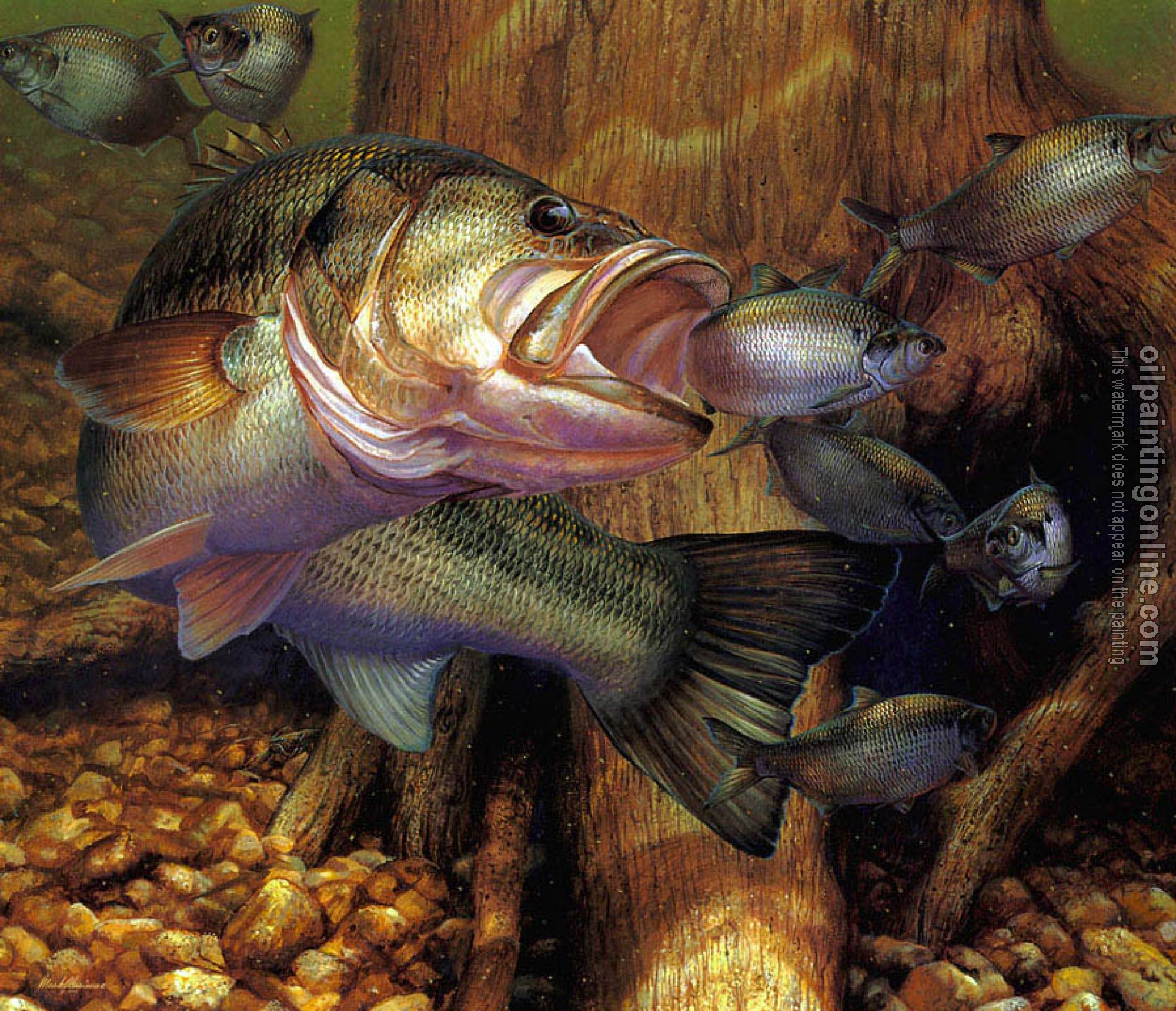 Mark Susinno - Opportunity Knocks, Largemouth Bass